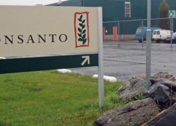 Monsanto, amendă de 400.000 de euro pentru că a colectat datele a peste 200 de politicieni, jurnaliști și activiști