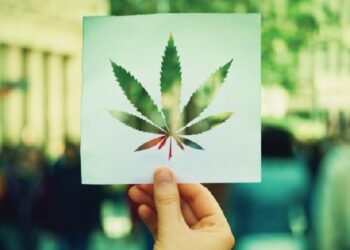 Premierul Florin Cîțu nu vrea legalizarea consumului de canabis în scopuri medicinale