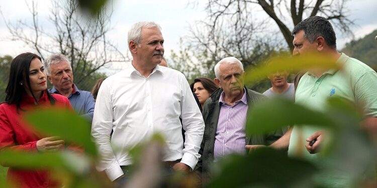 Partidul Alianța pentru Patrie, noul partid al lui Liviu Dragnea și Codrin Ștefănescu