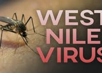 Virusul West Nile a provocat moartea unui bărbat din Dolj. Cazuri în București, Bacău și Olt
