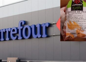 Pipote de pui cu Salmonella, vândute în magazinele Carrefour România