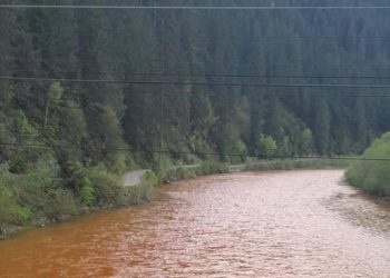 Poluarea cu ape de mină a râului Bistrița: depăşiri ale concentraţiilor de fier, zinc şi cupru