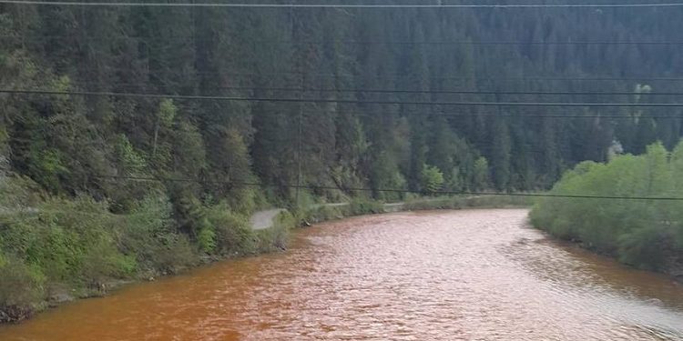 Poluarea cu ape de mină a râului Bistrița: depăşiri ale concentraţiilor de fier, zinc şi cupru